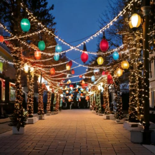 Outdoor Christmas Lights